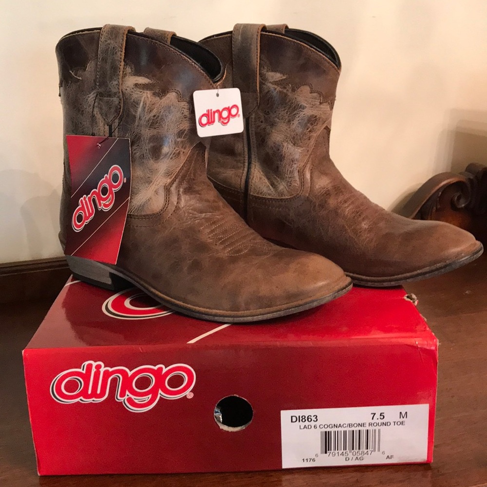 Western Boot